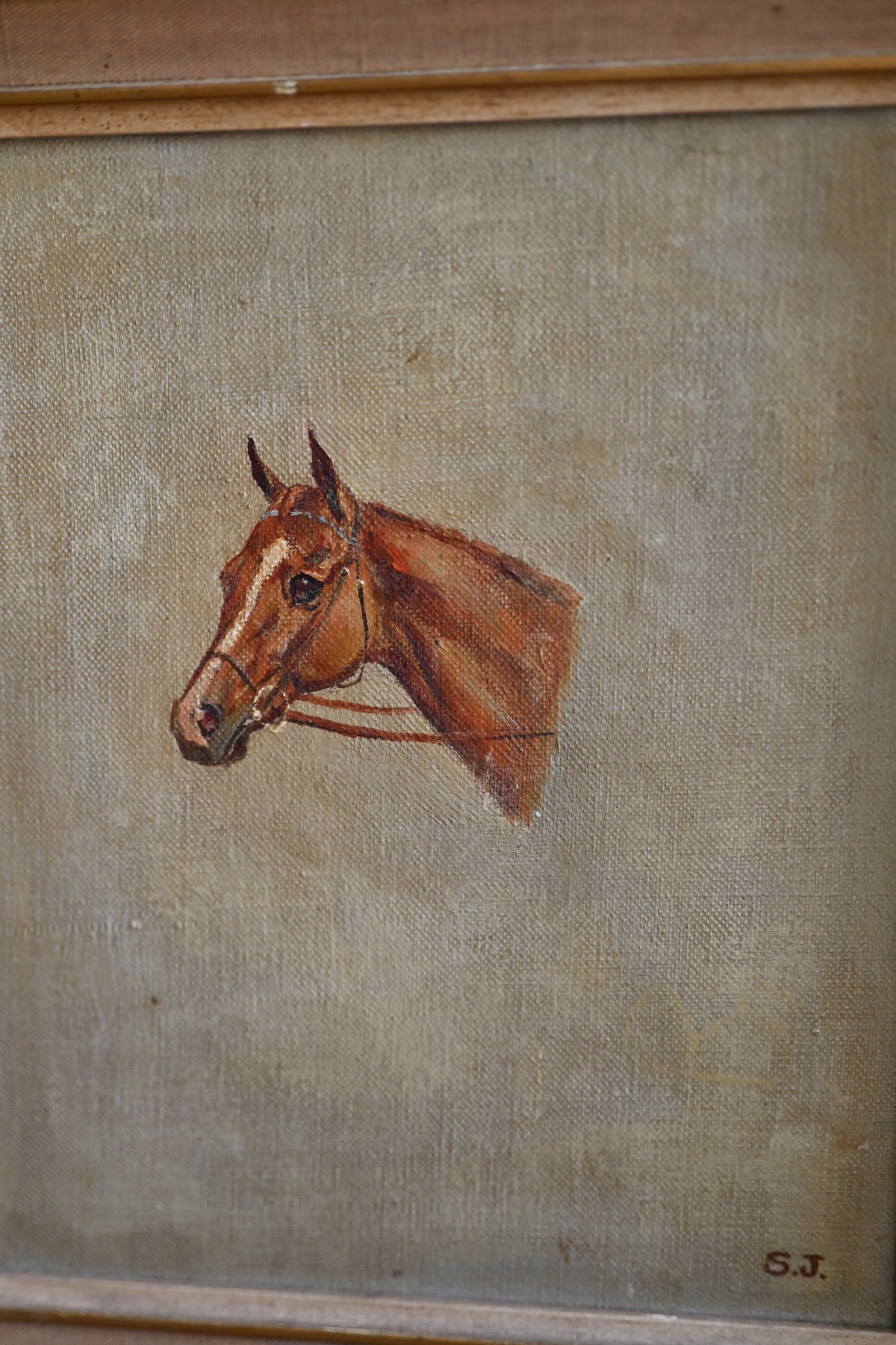 Portrait of a Horse Oil on Canvas