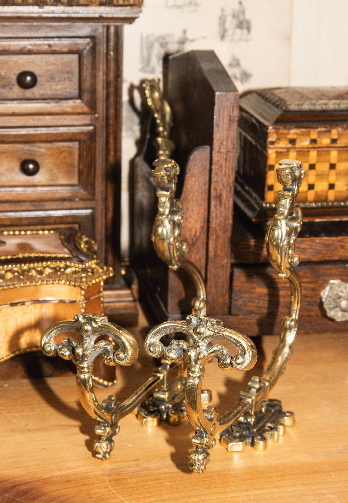 Antique French Brass Lions Head Hat and Coat Hook