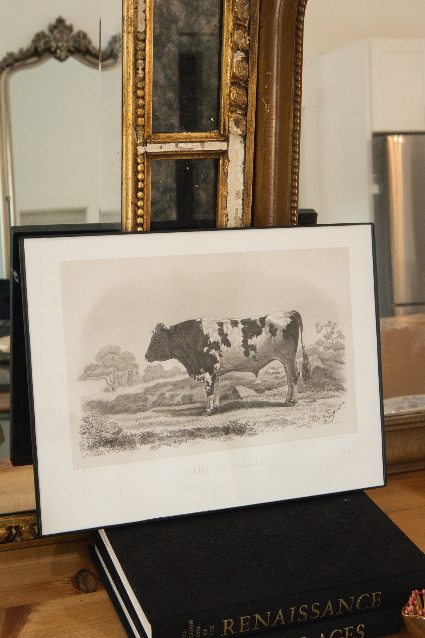 Antique French Galician Cow Engraving Framed