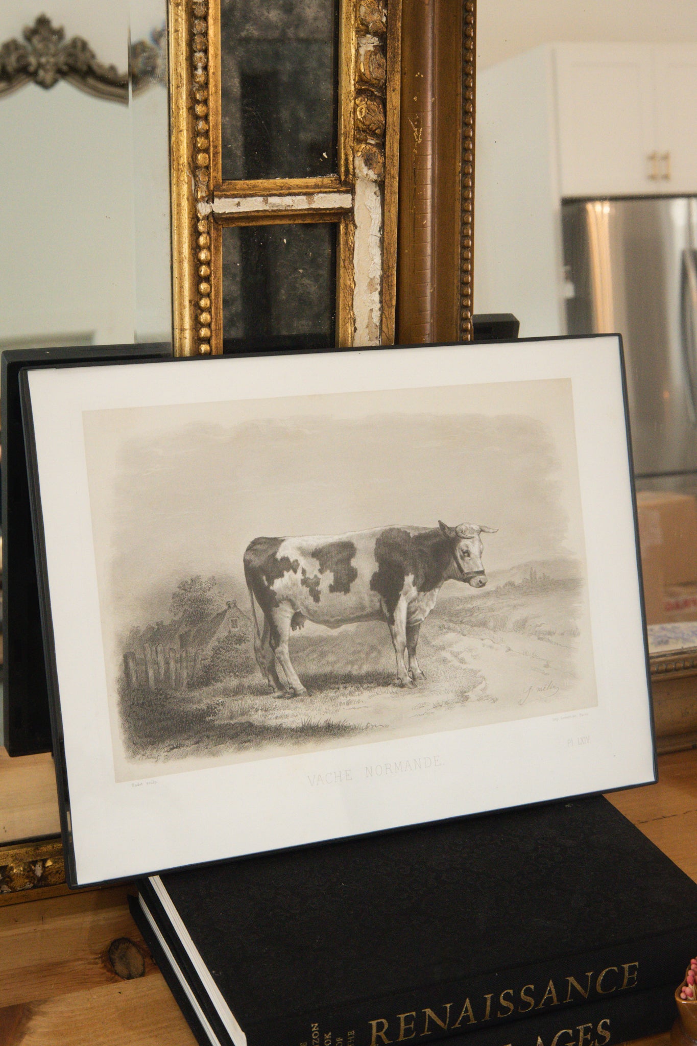 Antique French Normandy Cow Engraving Framed