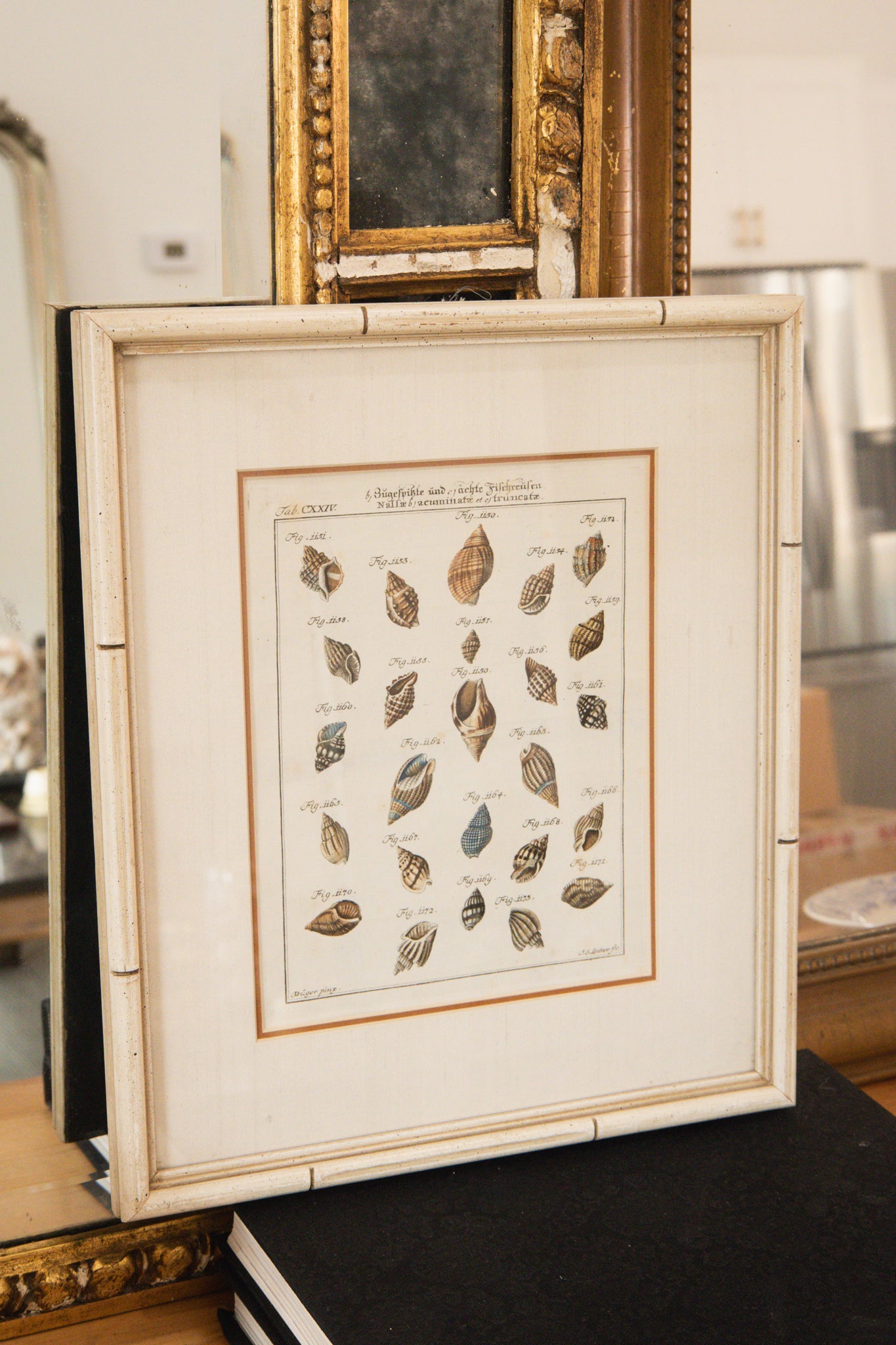 Antique 1700 Shell Engraving