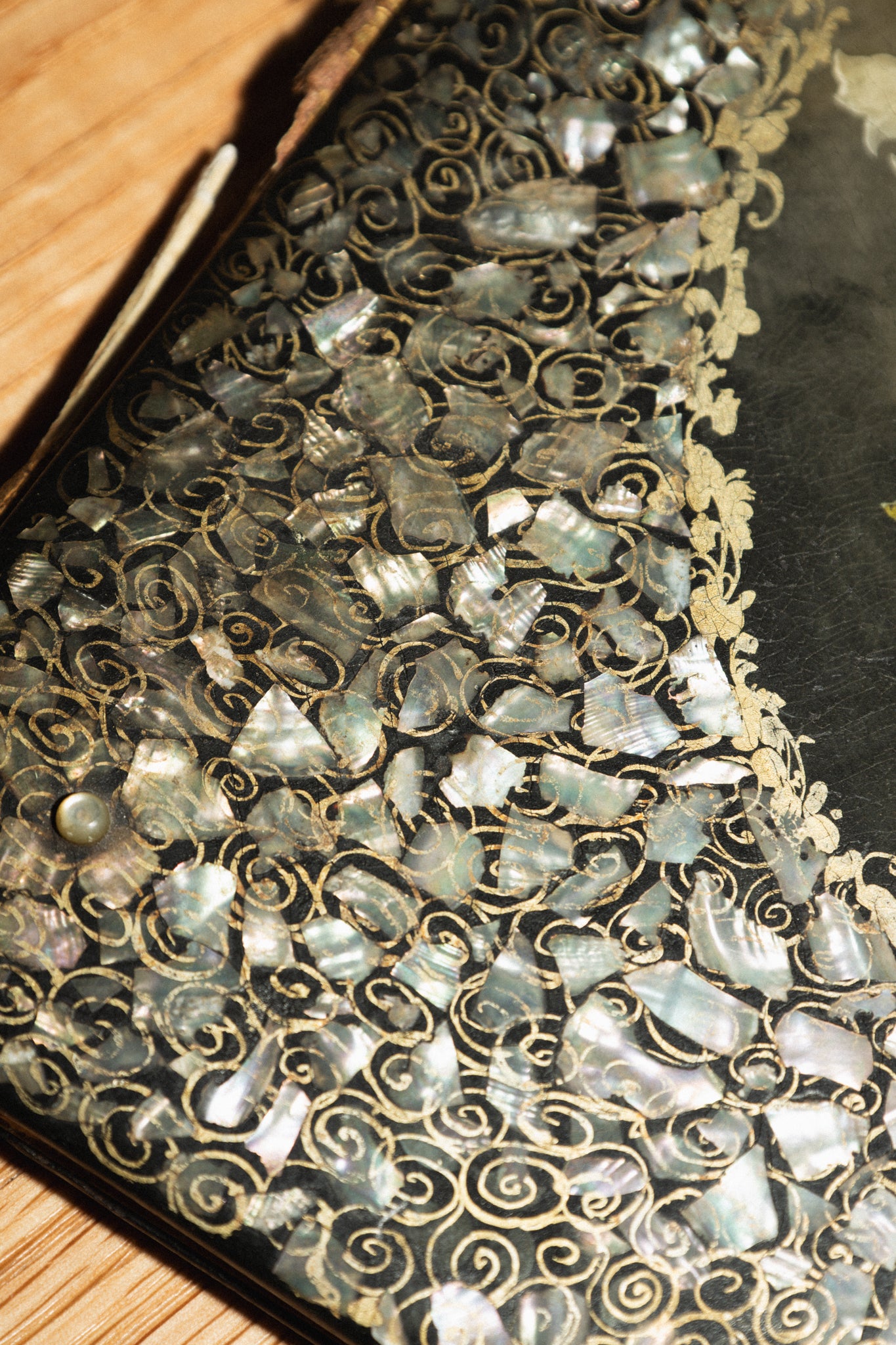 Victorian Abalone and Floral Painted Portfolio