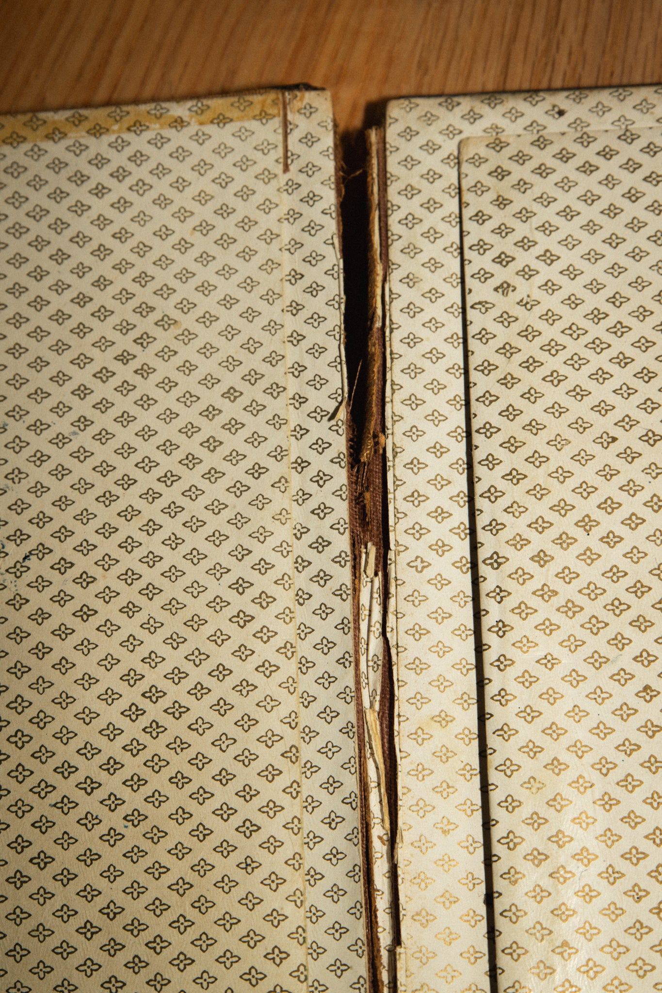 Victorian Abalone and Floral Painted Portfolio