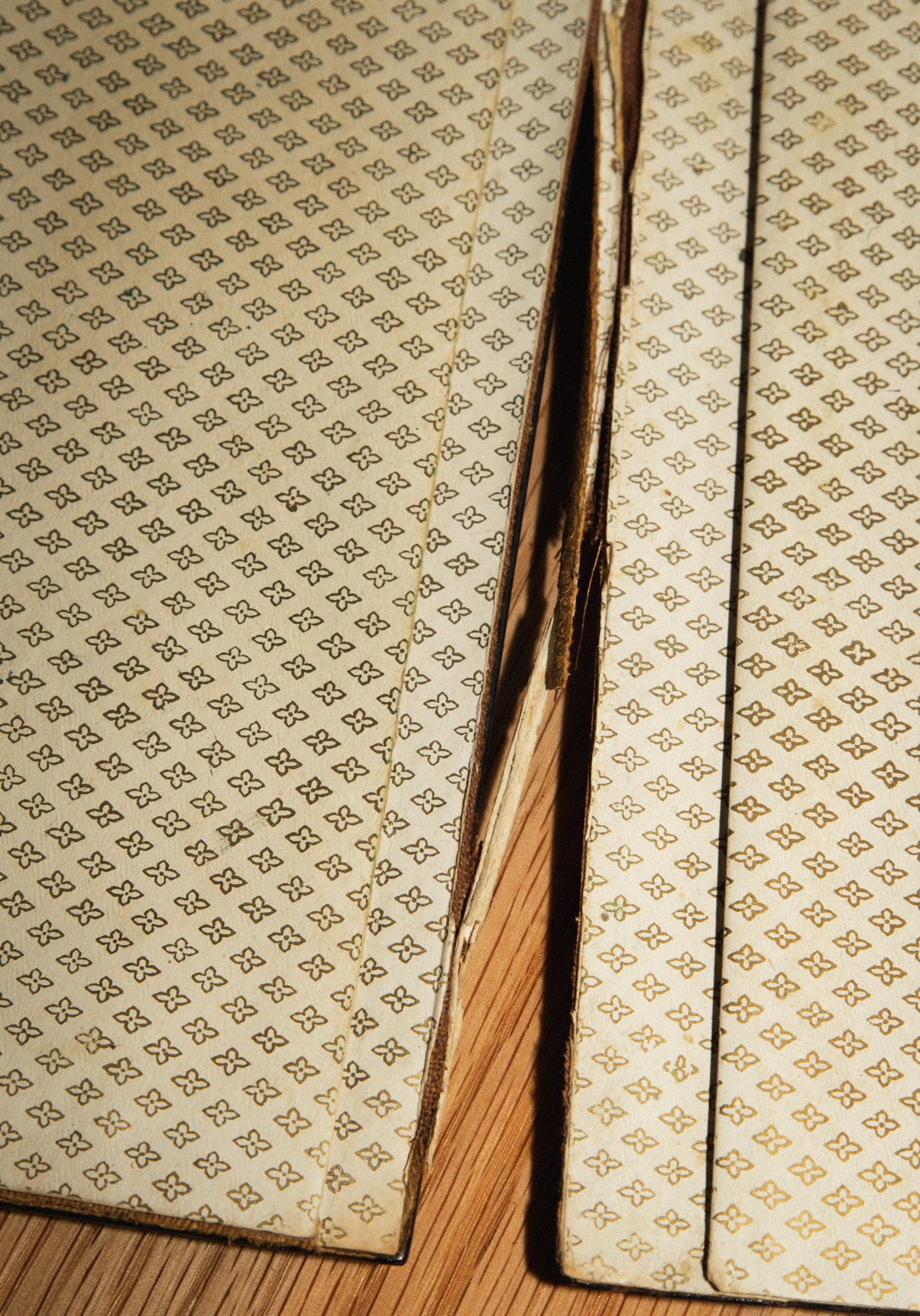 Victorian Abalone and Floral Painted Portfolio