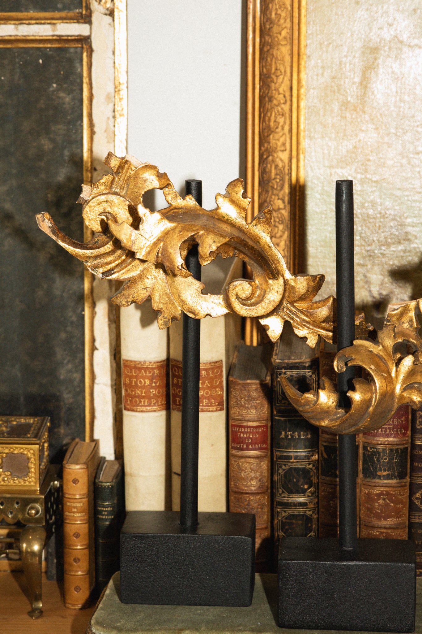 French Gilded Wood Salvage Display