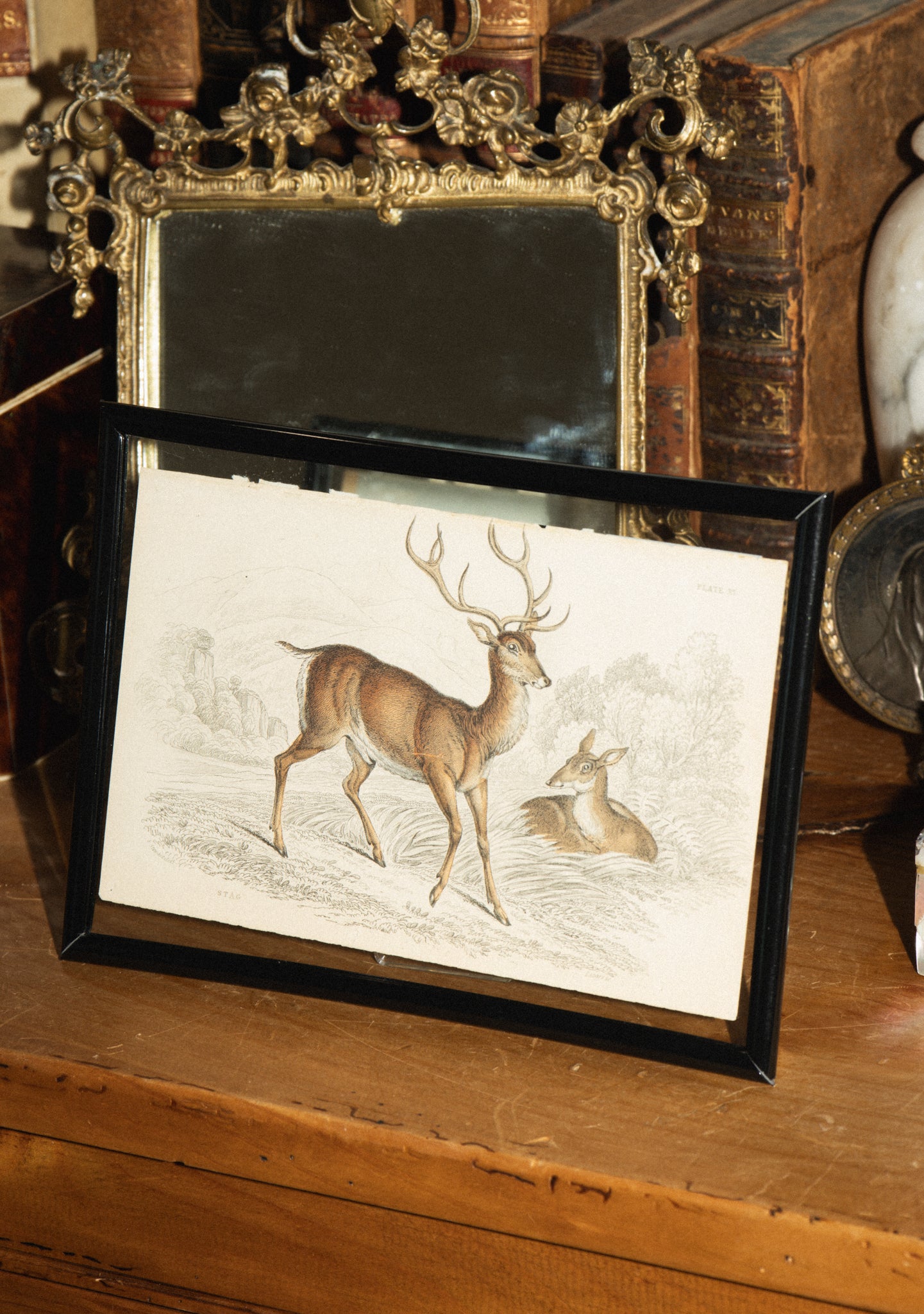 Antique Hand-Painted Lithograph of a Stag