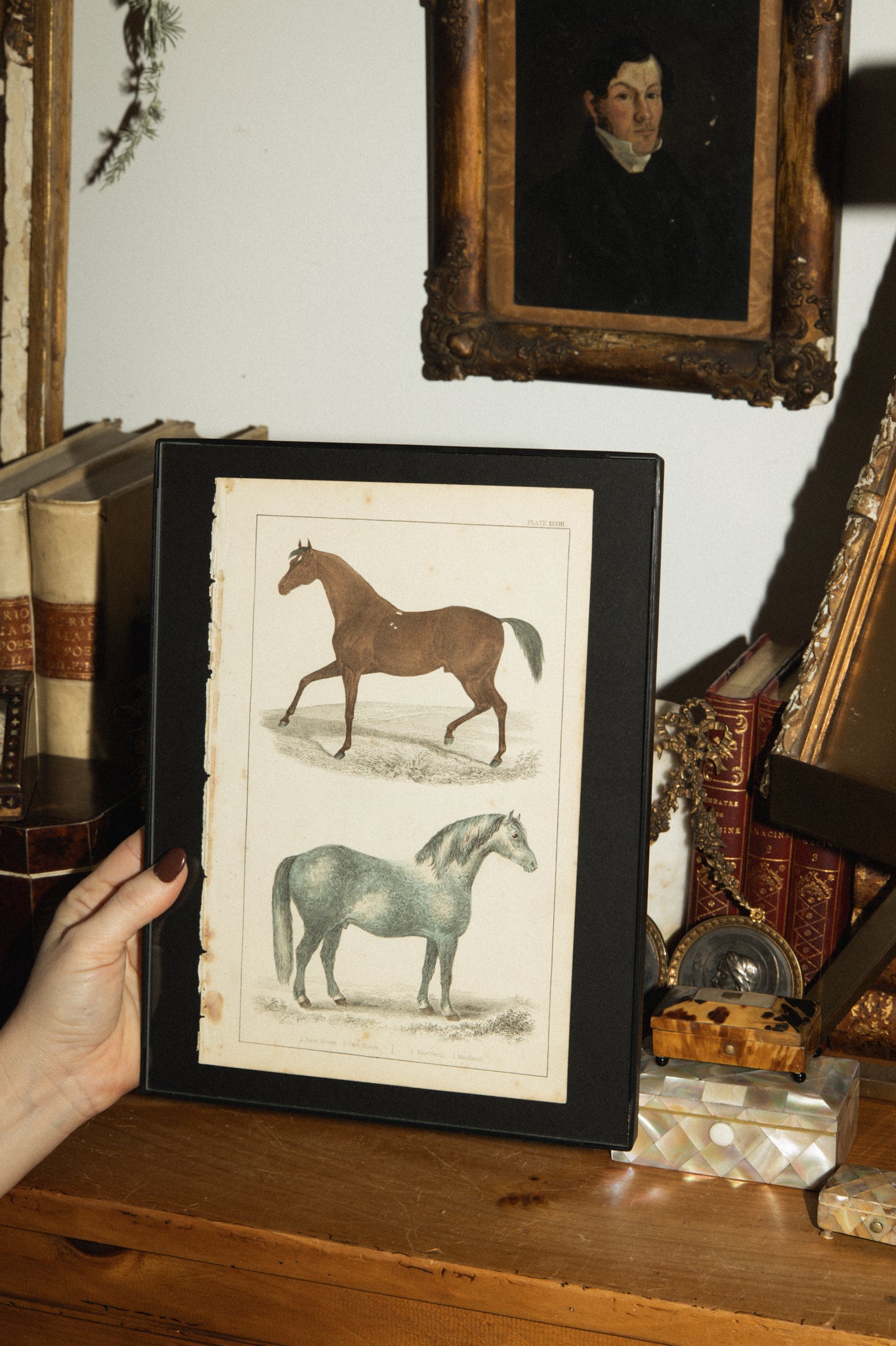 Antique Horse Hand-Painted book Lithograph