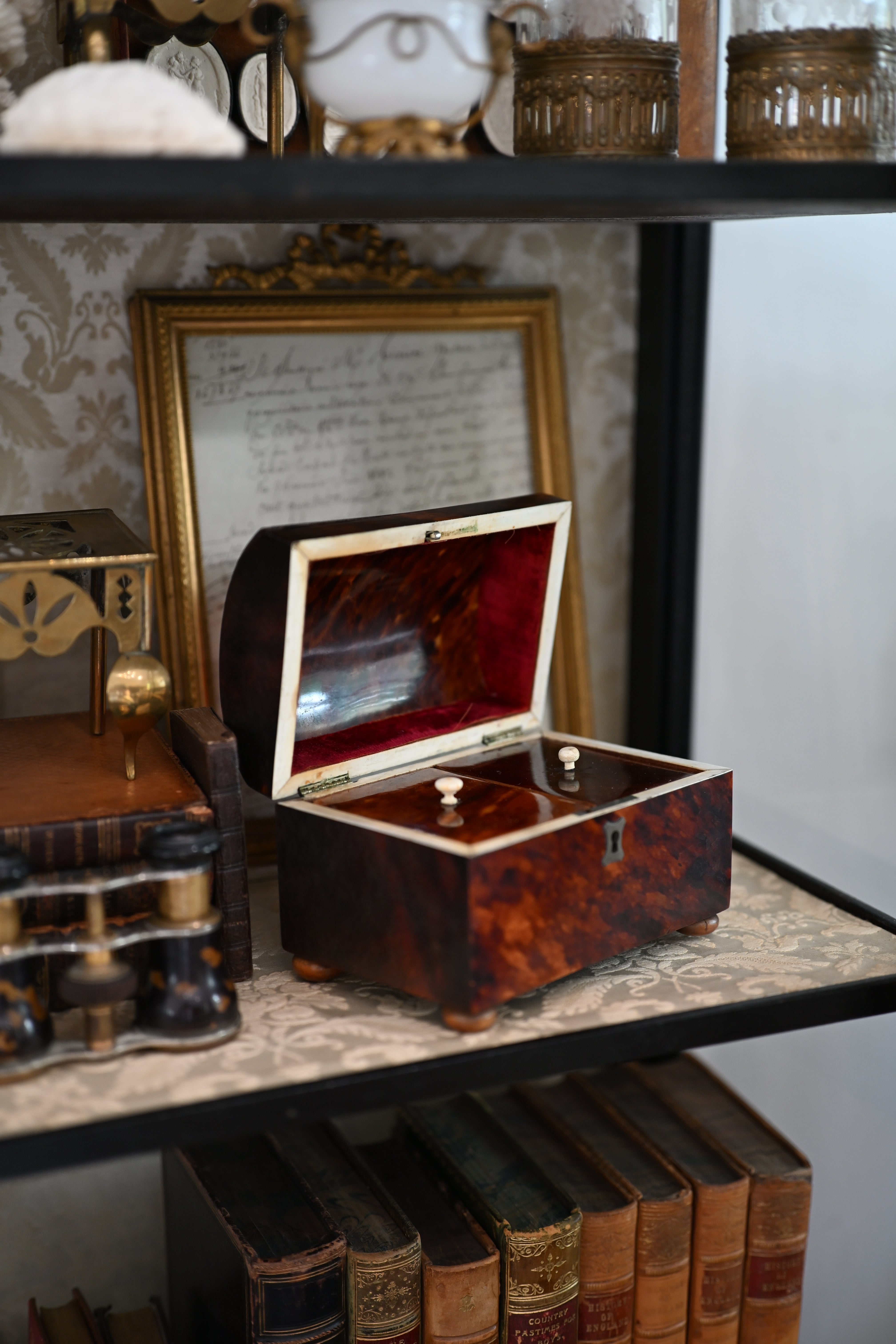 Antique English Faux Tortoiseshell